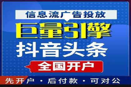 顶级SEM运营公司案例分析